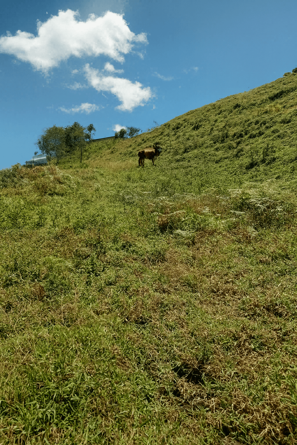 Imagen 7 de la propiedad Lote en Venta El PEÑOL  